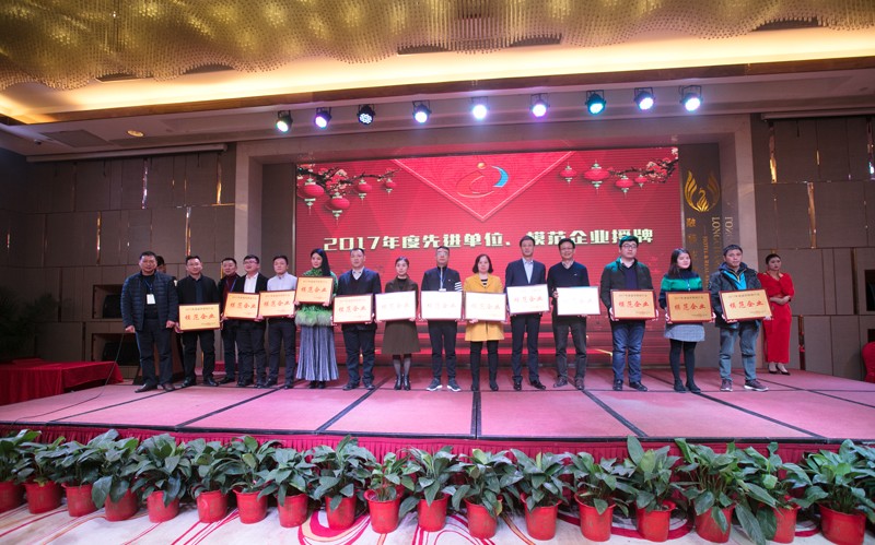 湖南省城市照明分会颁奖