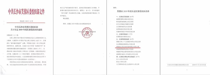 湖南正阳红旗党组织